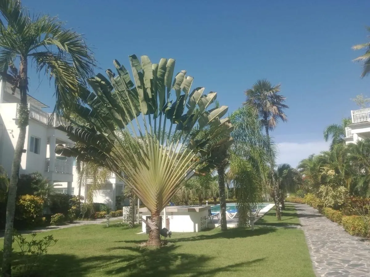 Apartment Mit Meerblick Direkt An Der Playa Popy Las Terrenas